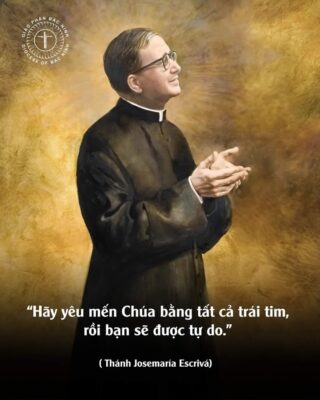 fb-732768673513037_1121050506818499