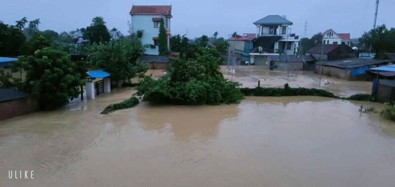 fb-732768673513037_1121032156820334