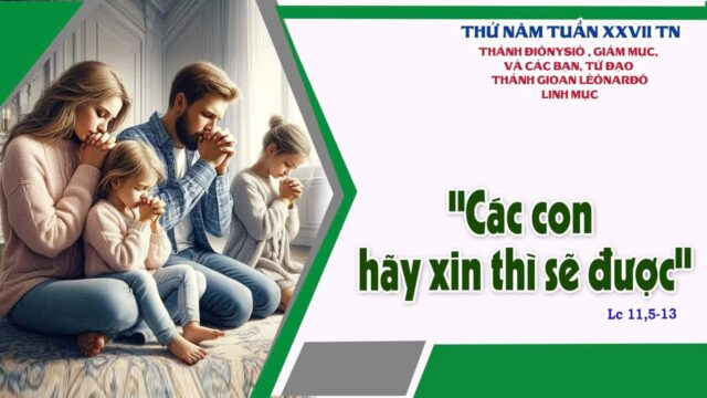 fb-585442494803518_1220019186829295