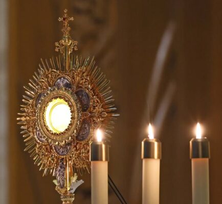 fb-421263834587148_1296126782557288