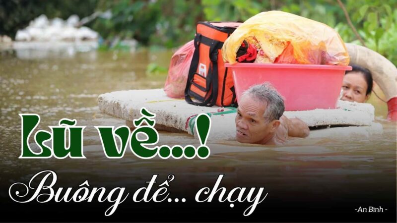 fb-732768673513037_1122985453291671