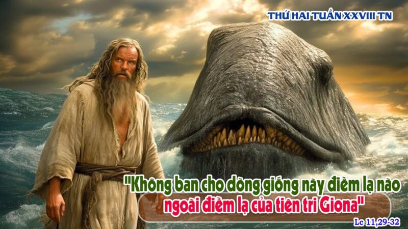 fb-585442494803518_1221428160021731