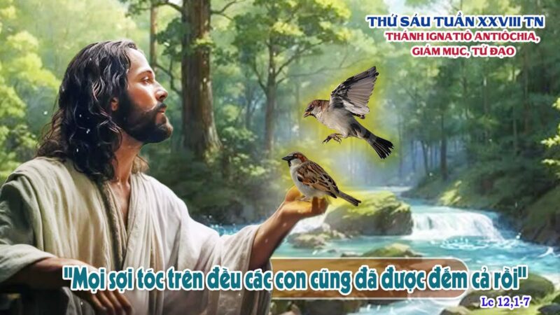 fb-585442494803518_1221428160021731