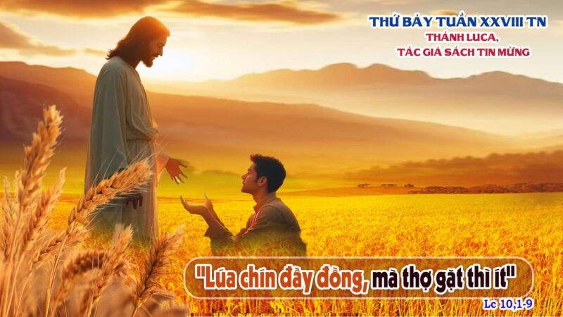 fb-585442494803518_1221428160021731