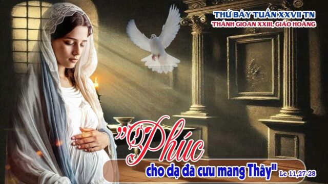 fb-585442494803518_1222080039956543