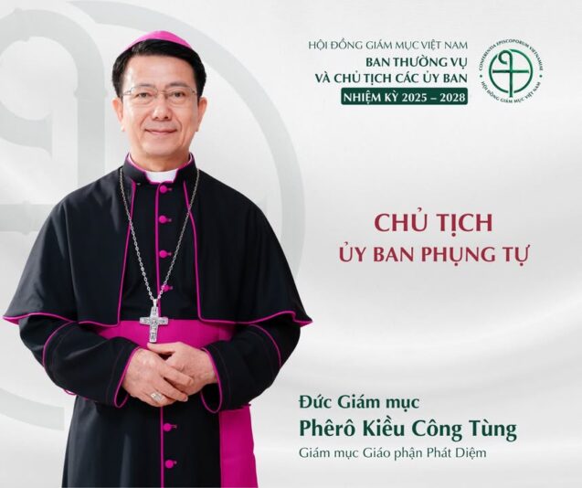 fb-267086443957481_1111567207852651