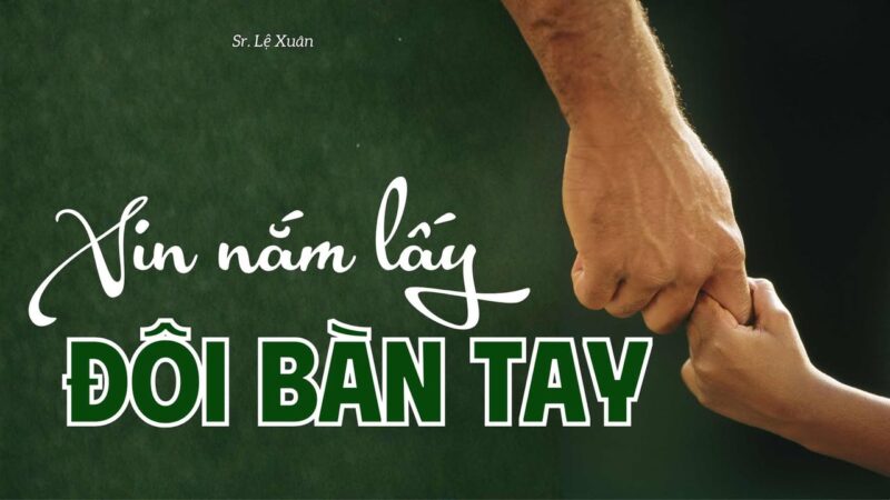 fb-732768673513037_1123424326581117