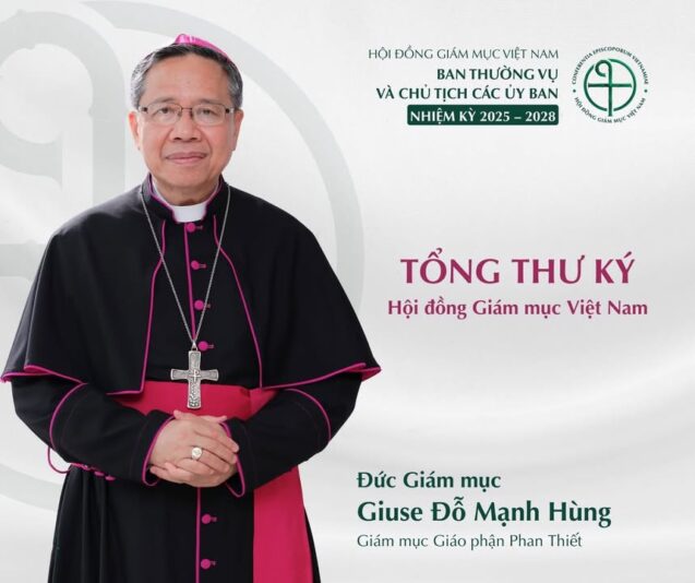 fb-732768673513037_1123370993253117