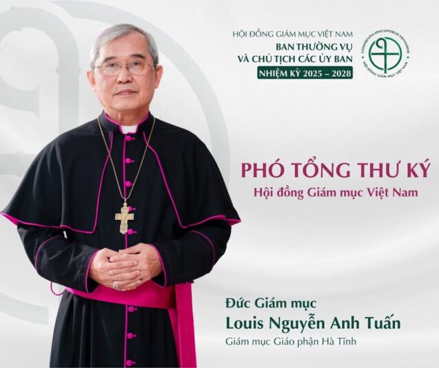 fb-732768673513037_1123370993253117