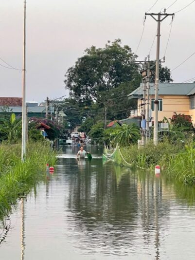 fb-732768673513037_1123878729869010