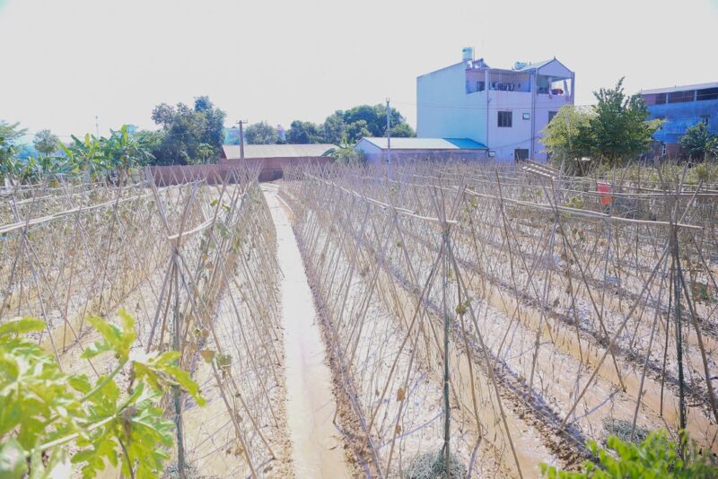 fb-1578851229095483_1215122617325644