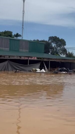 fb-732768673513037_1124096206513929