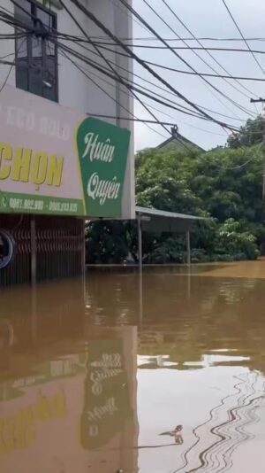 fb-732768673513037_1124096206513929