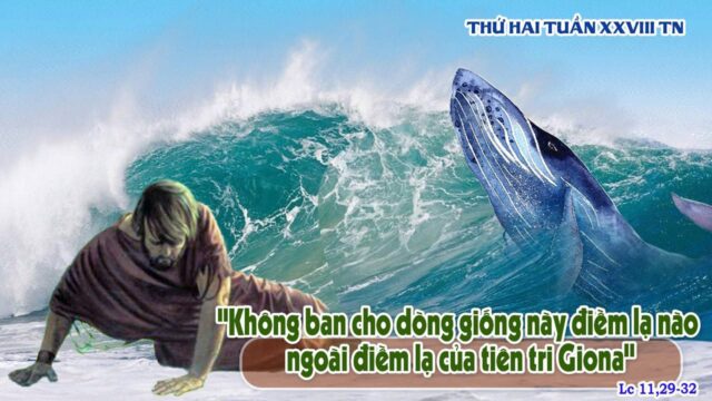 fb-585442494803518_1224028739761673