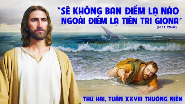 fb-585442494803518_1224126003085280