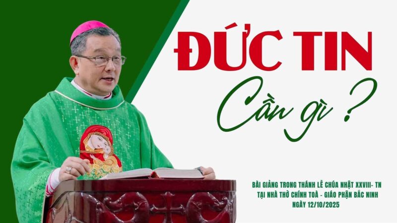 fb-732768673513037_1125355209721362