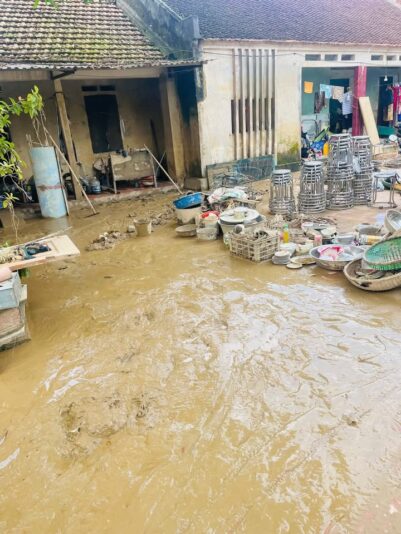 fb-732768673513037_1125165076407042