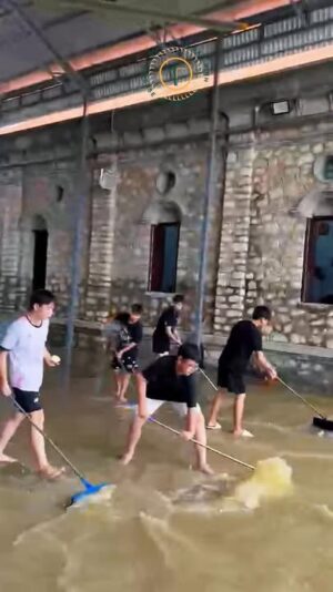 fb-732768673513037_1125105149746368