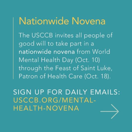 fb-128110617292885_1216010263893591