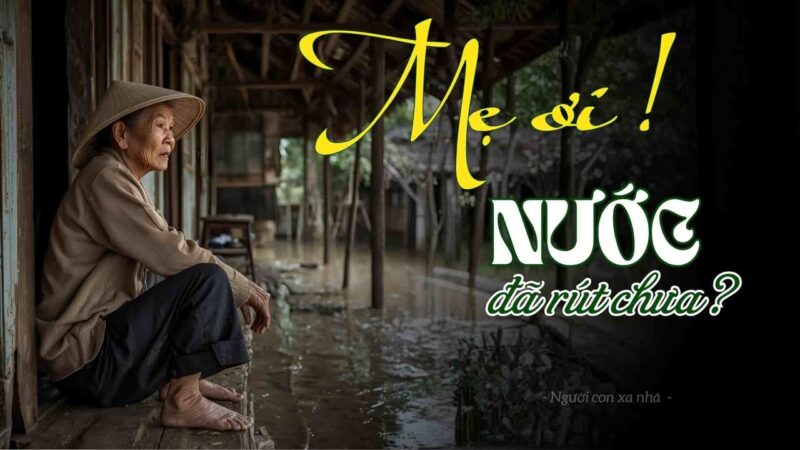 fb-732768673513037_1125776753012541