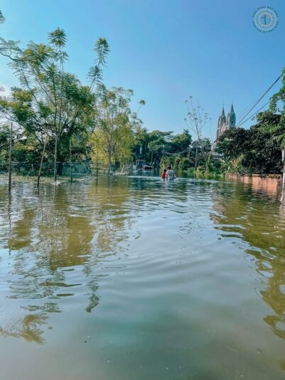 fb-732768673513037_1125715299685353