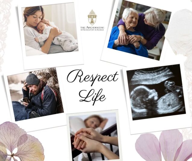 fb-149608895080801_1289857056514678