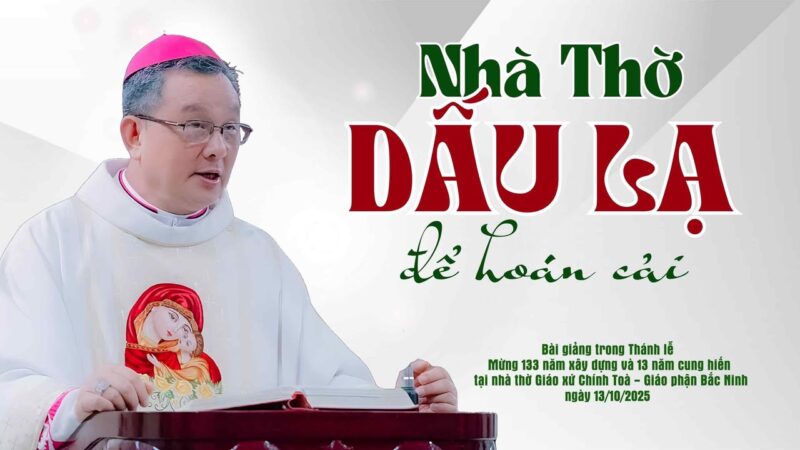 fb-732768673513037_1126165026307047