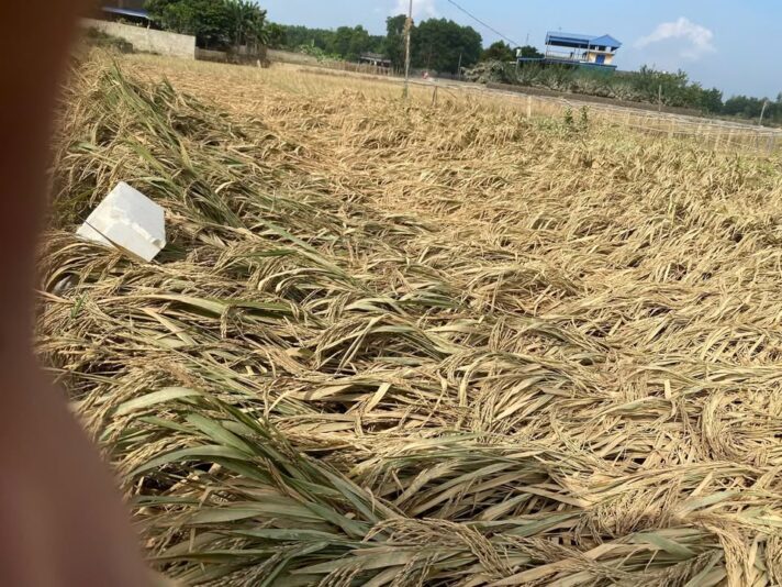 fb-732768673513037_1125905682999648