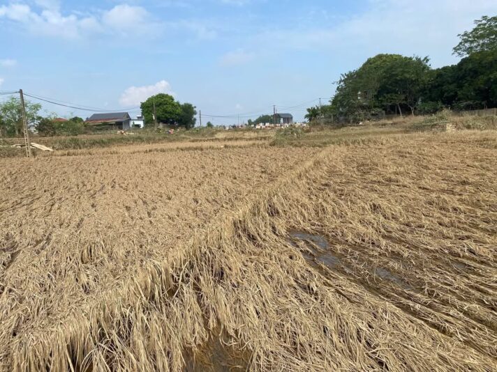 fb-732768673513037_1125905682999648