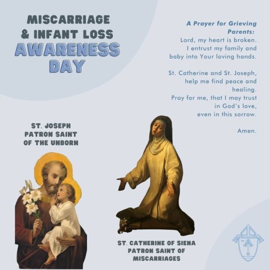 fb-49347972598_1255426686623159