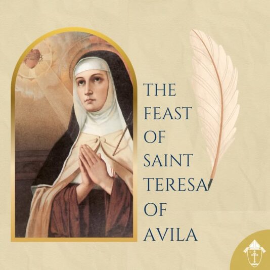 fb-49347972598_1255745739924587