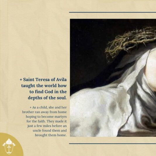 fb-49347972598_1255745739924587