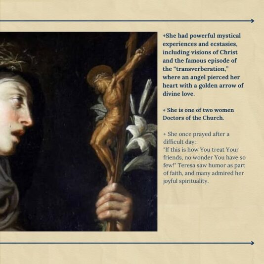 fb-49347972598_1255745739924587