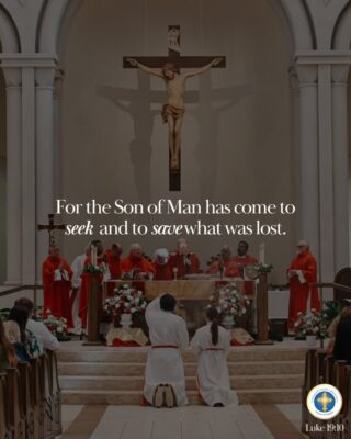 fb-216956945061_1247333610769336