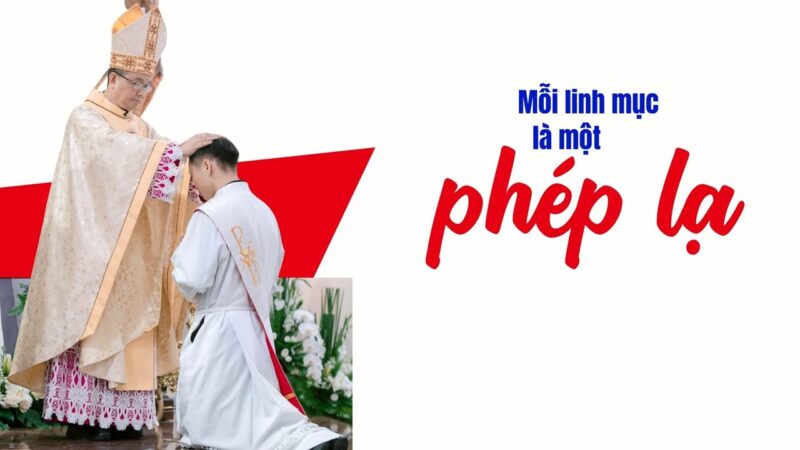 fb-732768673513037_1128733329383550