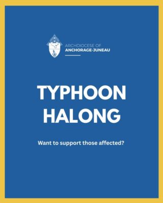 fb-115048641846447_1245900430912261