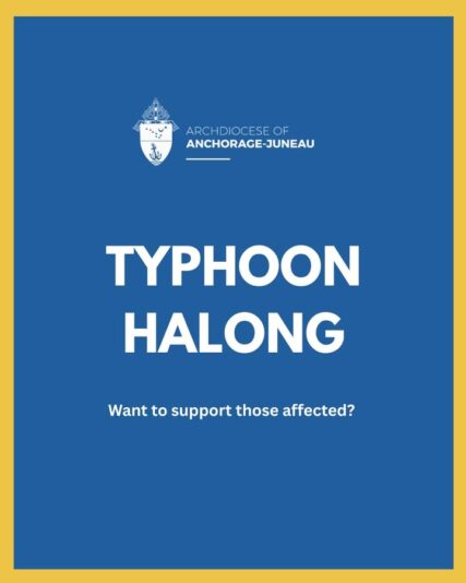 fb-115048641846447_1245900430912261