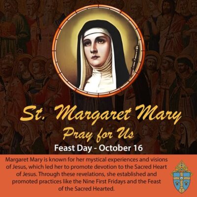 fb-267652796676847_1213625397467494