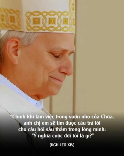 fb-732768673513037_1129150016008548