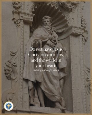 fb-216956945061_1248212380681459