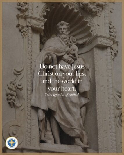 fb-216956945061_1248212380681459