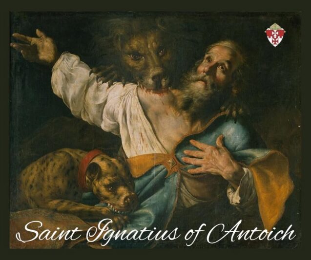 fb-101064066621857_1135159715406620