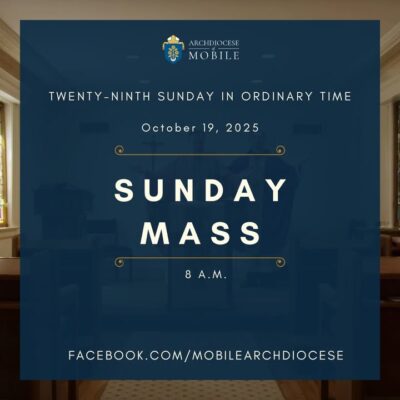 fb-1669188376658004_1447907677335557