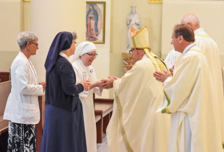 fb-1669188376658004_1448231197303205