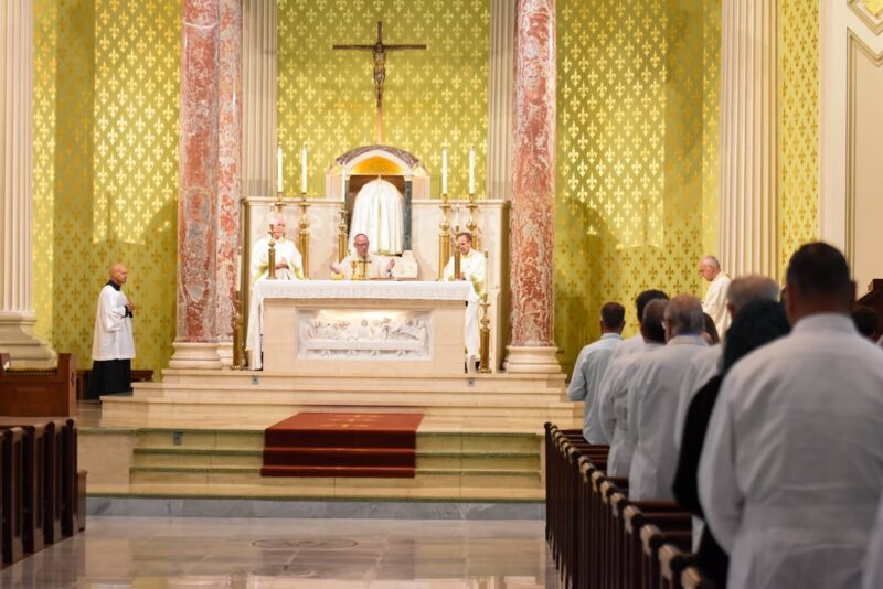 fb-1669188376658004_1448231197303205