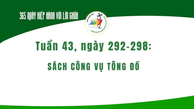 fb-732768673513037_1130834549173428