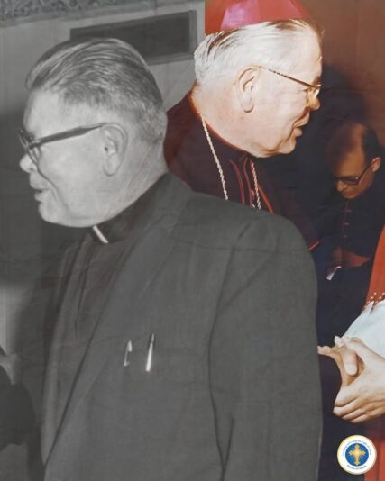 fb-216956945061_1249976100505087