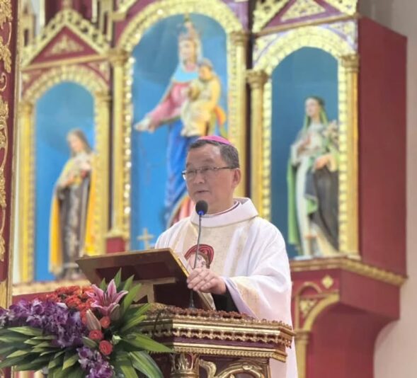 fb-732768673513037_1132037602386456