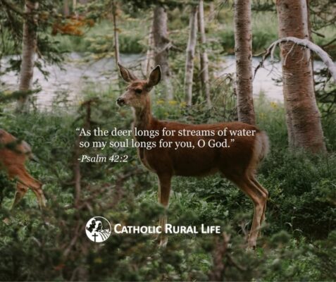 fb-101064066621857_1137620501827208