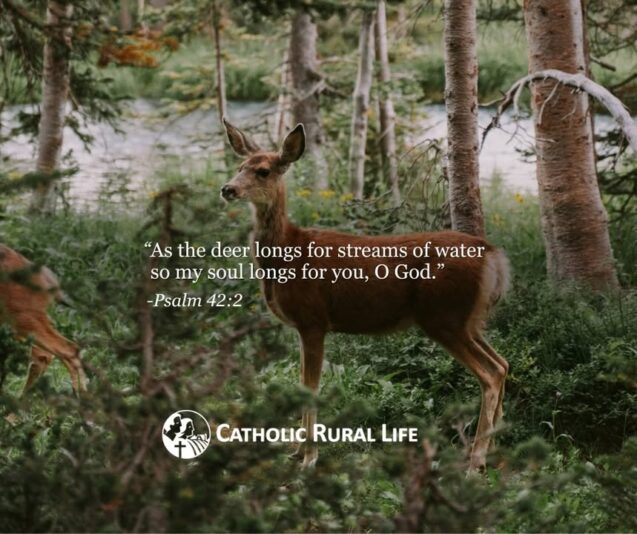 fb-101064066621857_1137620501827208